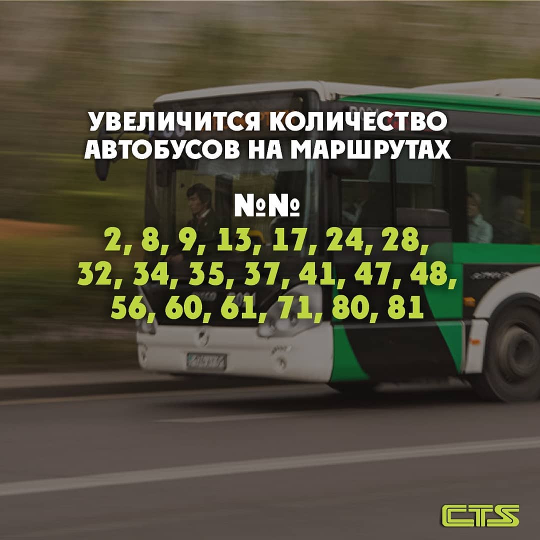 Добавляются графики на 20 маршрутах